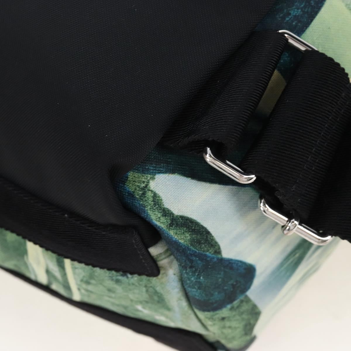 Valentino Garavani X Roger Dean Dragon Printed Nylon Green Nylon Backpack Bag (Pre-Owned)