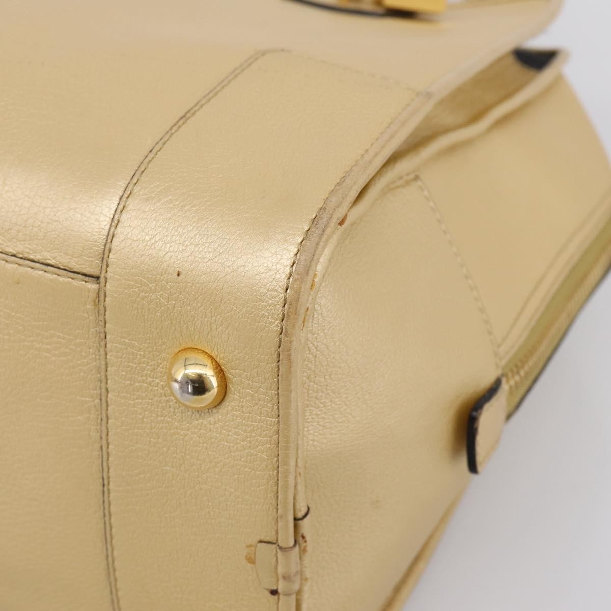 Loewe Amazona Leather Gold Leather Handbag (Pre-Owned)