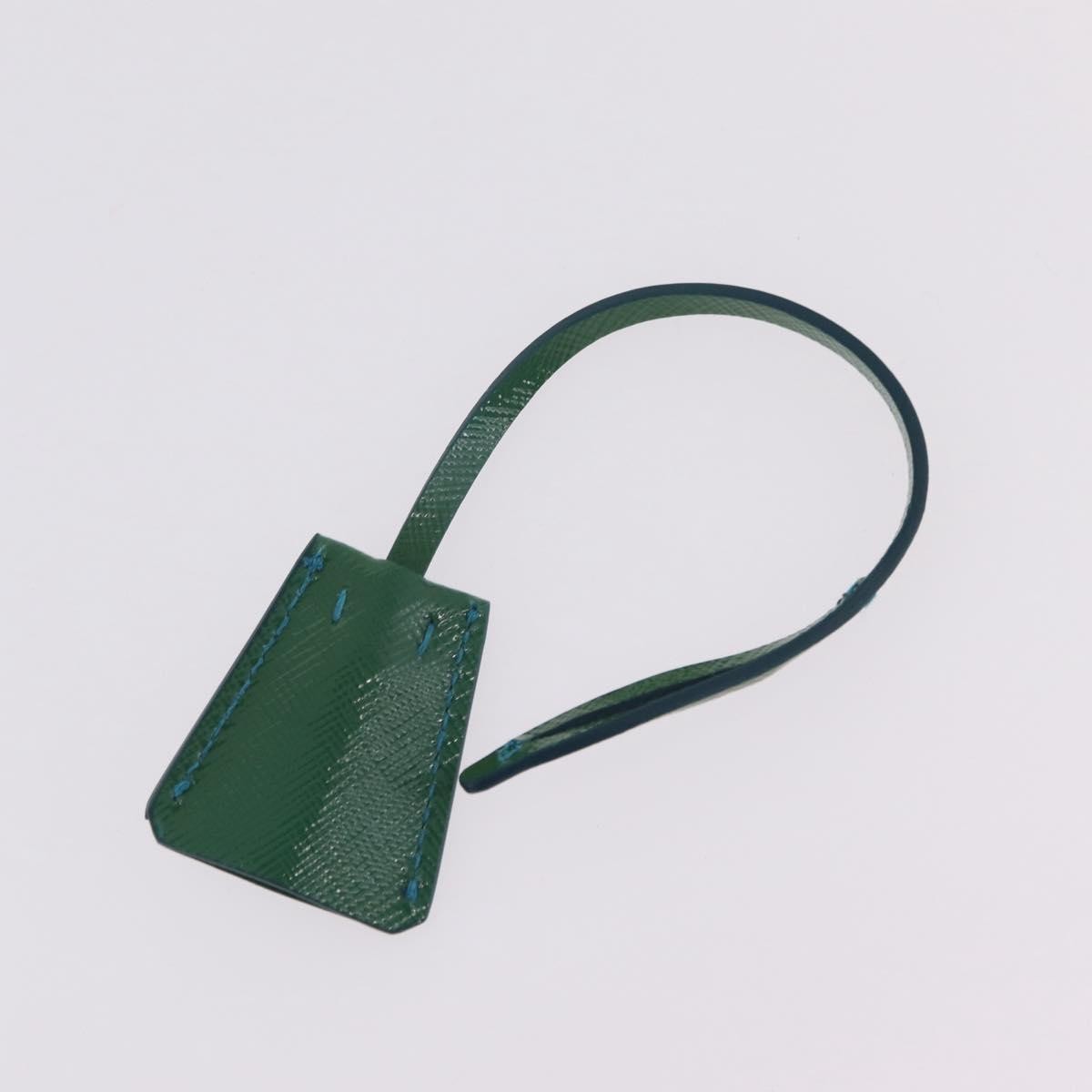 Prada Sound Chain Saffiano Leather Green Leather Shoulder Bag Bag (Pre-Owned)