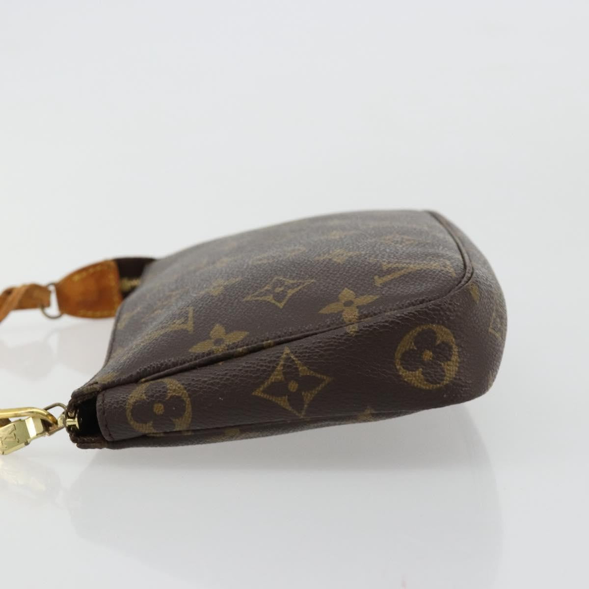 Louis Vuitton Pochette Accessoires Nm Monogram Canvas Brown Canvas Clutche & Pouche Bag (Pre-Owned)