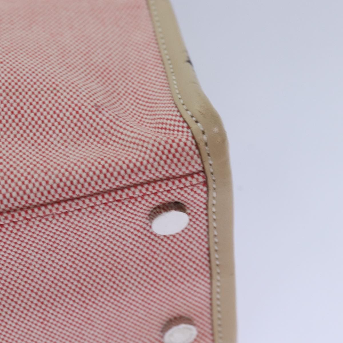 Burberry Blue Label Canvas Pink Canvas Handbag (Pre-Owned)