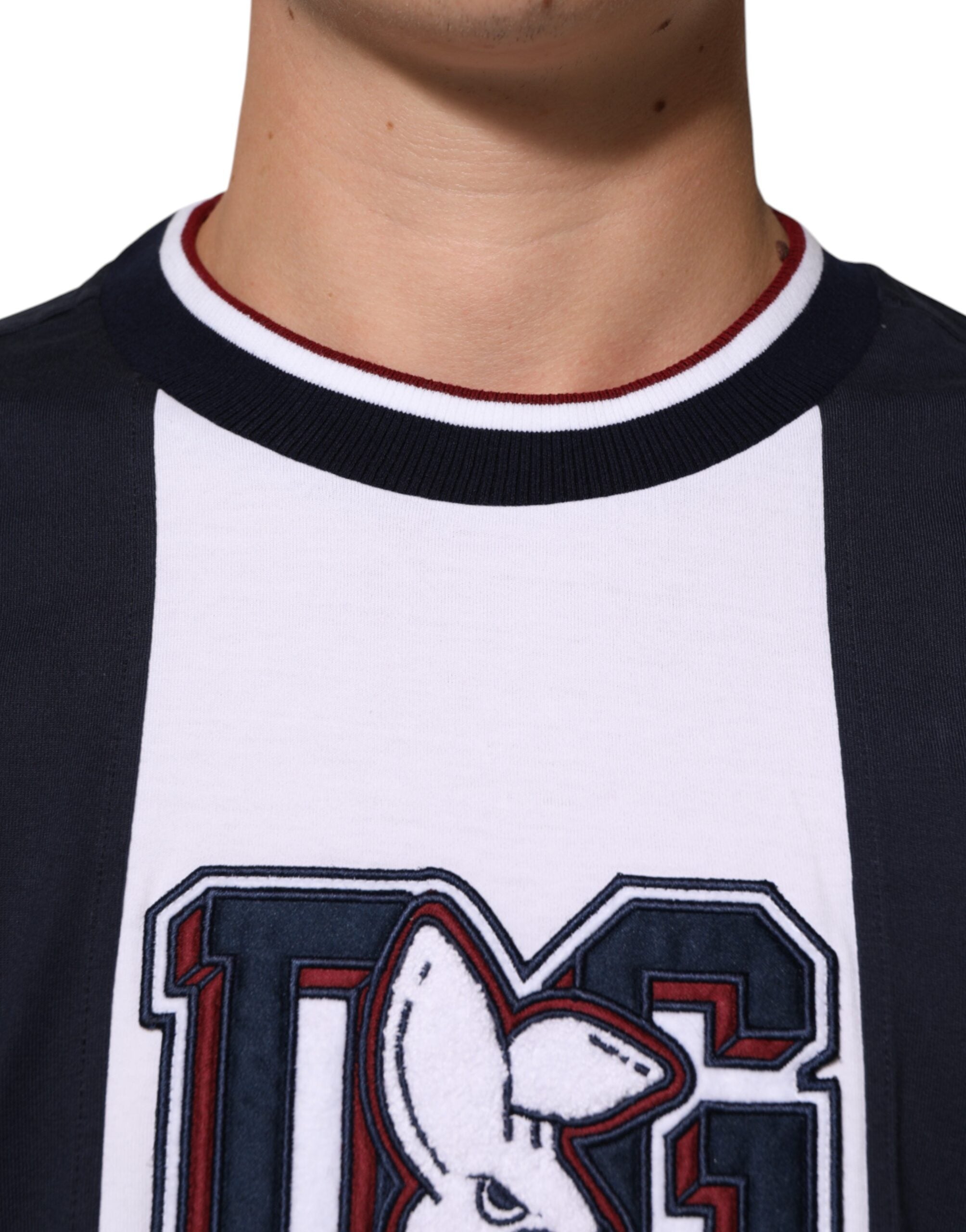 Dolce & Gabbana Multicolor Striped Cotton Men Crew Neck Men's T-shirt