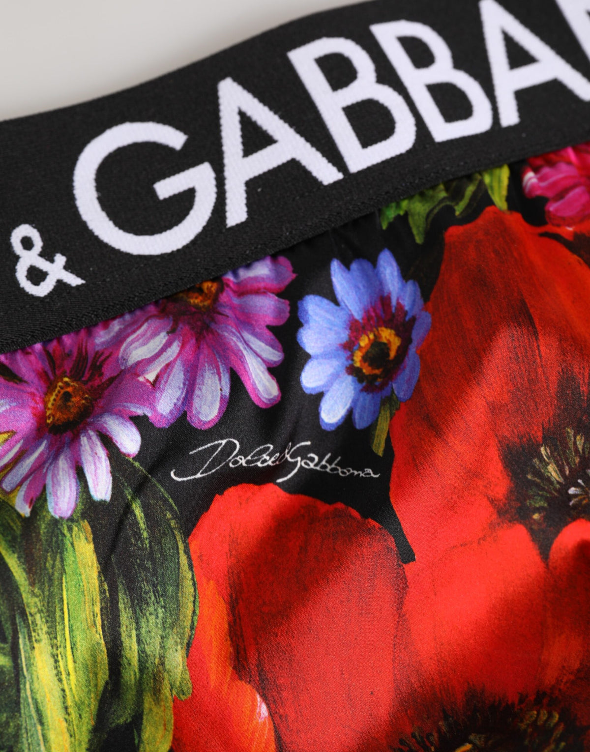 Dolce & Gabbana Multicolor Floral Print High Waist Panty Women's Underwear