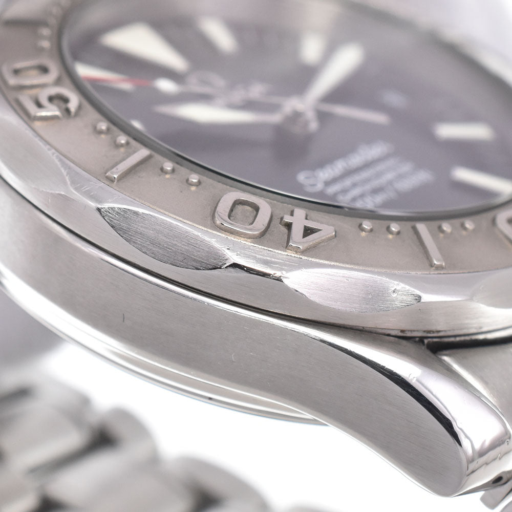Omega Seamaster Professional Diver 300M Chronometer Automatic Stainless Steel Watch (Pre-Owned)