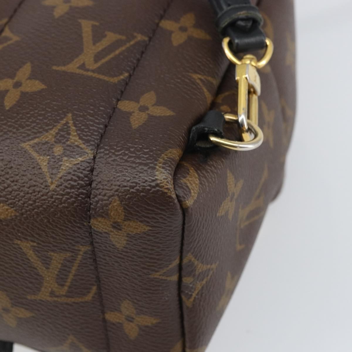 Louis Vuitton Palm Springs Monogram Canvas Brown Canvas Backpack Bag (Pre-Owned)