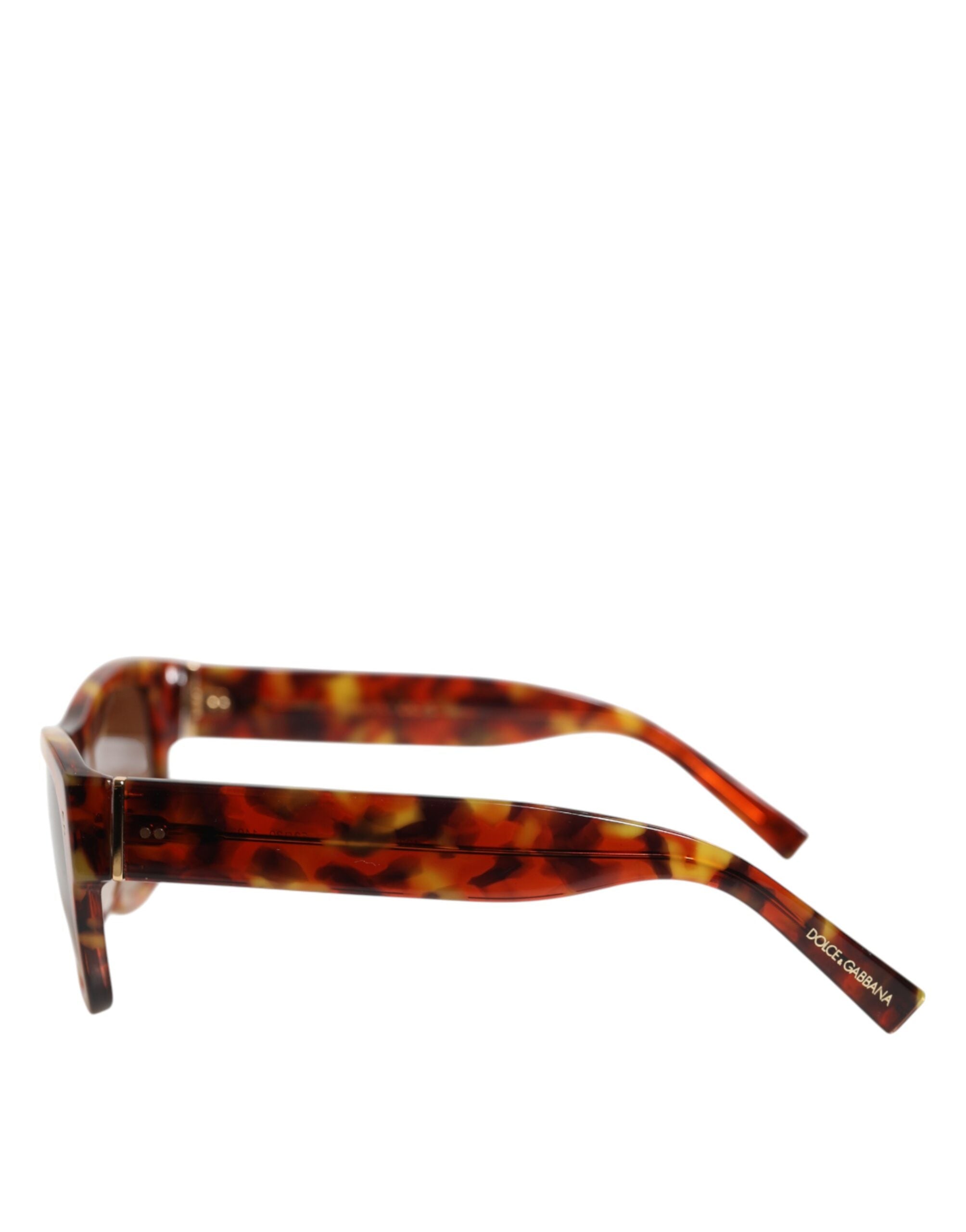 Dolce & Gabbana DG4338F Brown Havana Full Rim Round Lenses Women's Sunglasses