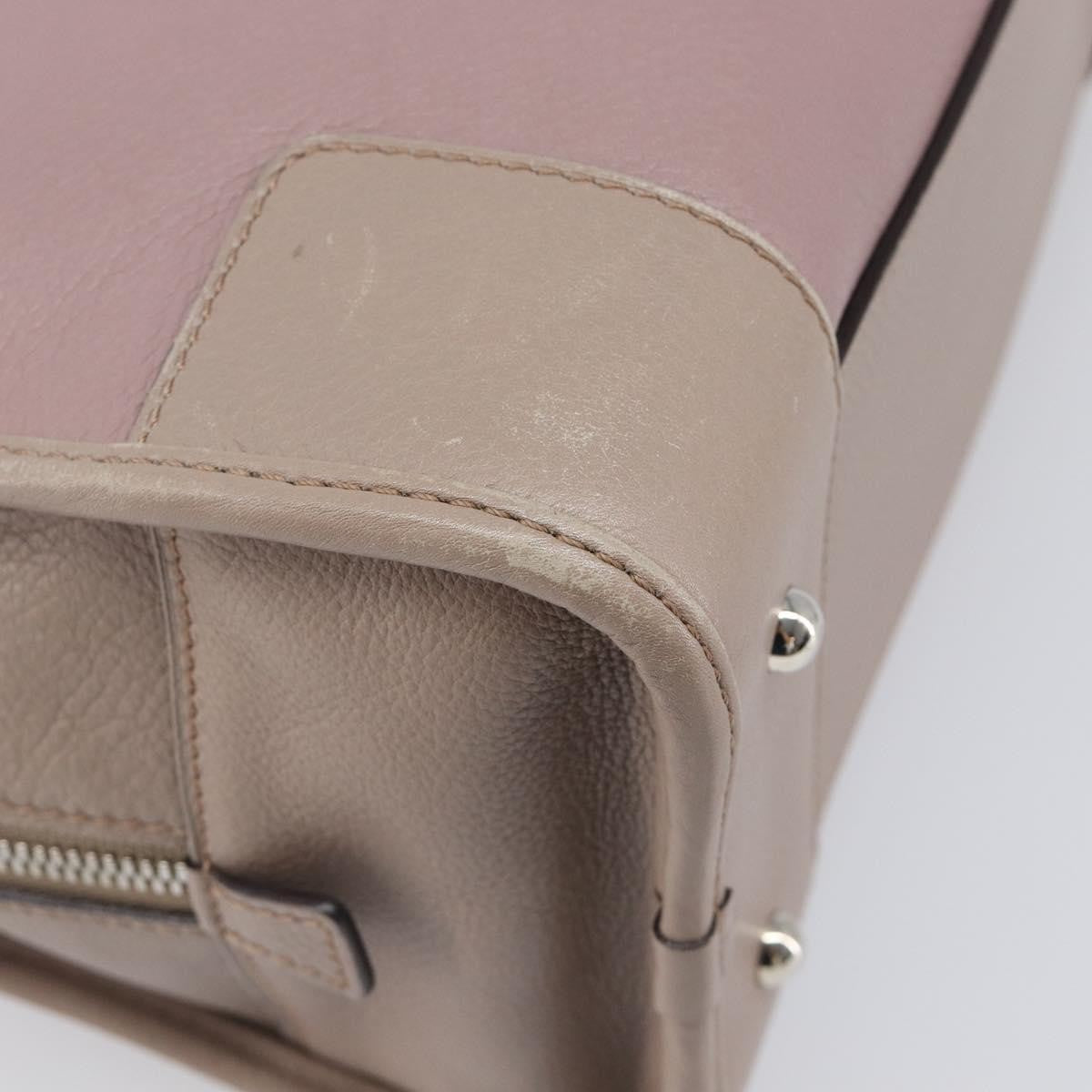 Loewe Amazona Leather Pink Leather Handbag (Pre-Owned)