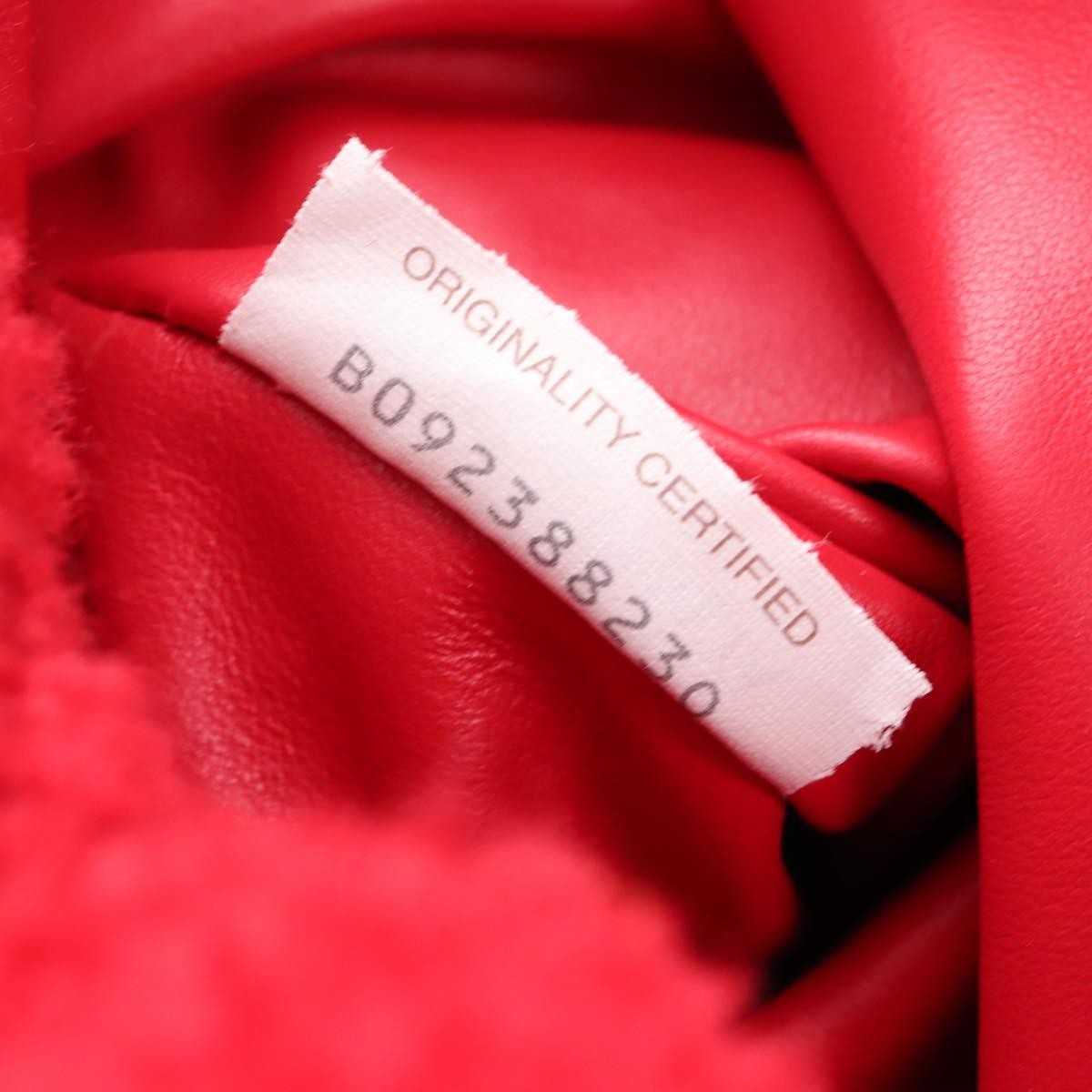 Bottega Veneta The Fringe Leather Red Textile Clutche & Pouche Bag (Pre-Owned)