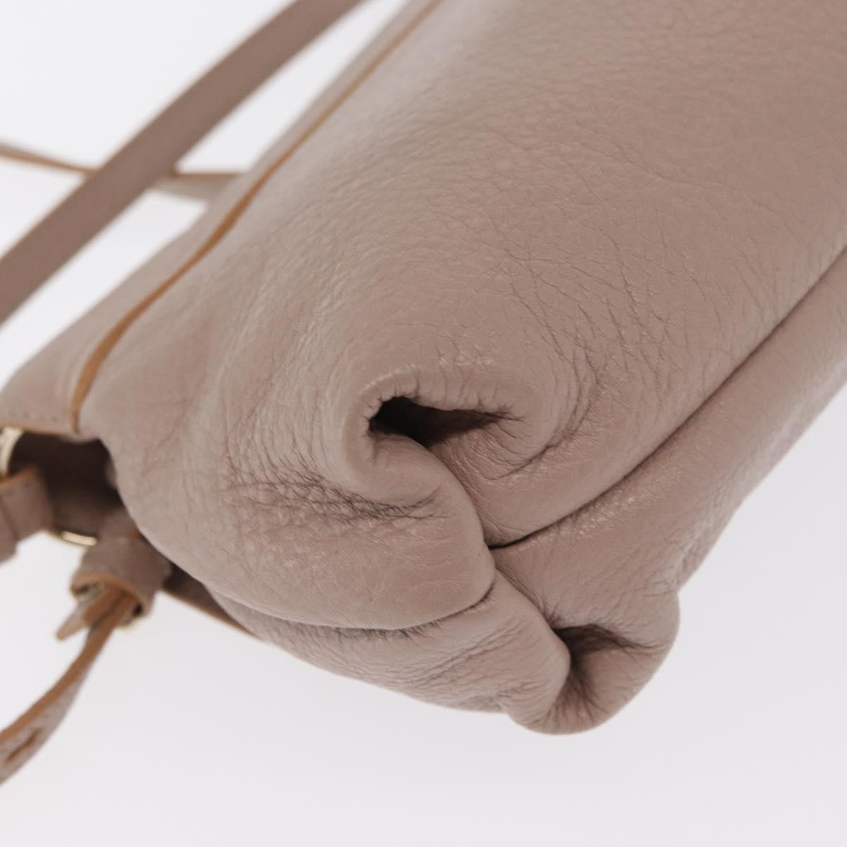 Chloe Lily Leather Beige Leather Handbag (Pre-Owned)