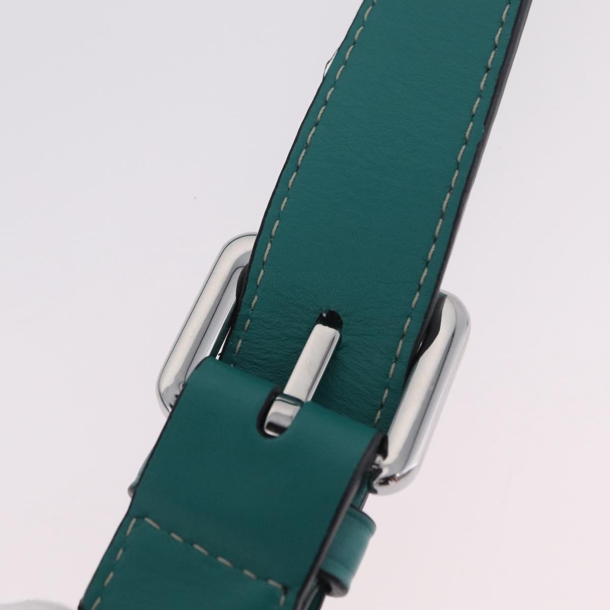 Loewe Gate Belt Leather Green Leather Handbag (Pre-Owned)