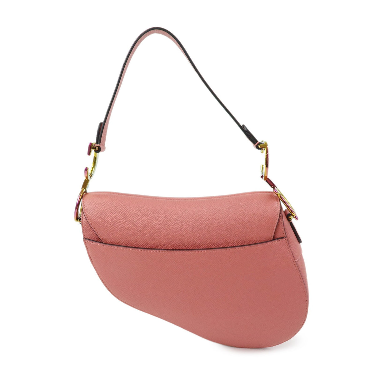 Christian Dior Saddle Embroidered Printed Leather Pink Leather Handbag (Pre-Owned)