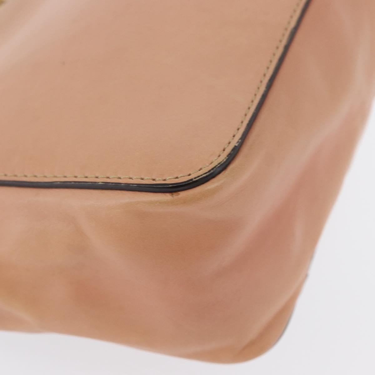 Chloe Elsie Chain Leather Pink Leather Shoulder Bag Bag (Pre-Owned)