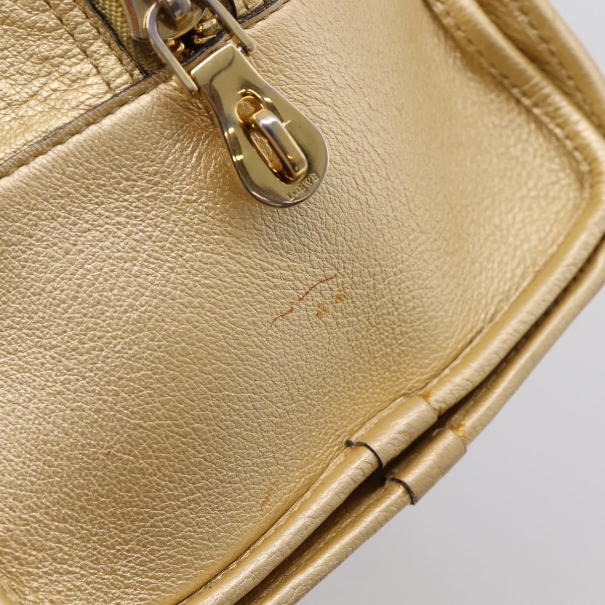 Loewe Amazona Leather Gold Leather Handbag (Pre-Owned)