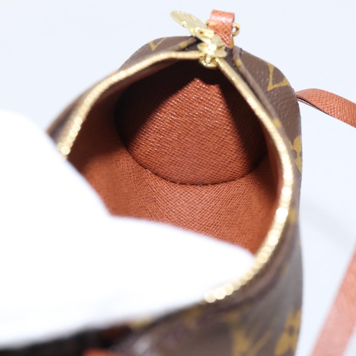 Louis Vuitton Papillon Pochette Monogram Canvas Brown Canvas Clutche & Pouche Bag (Pre-Owned)