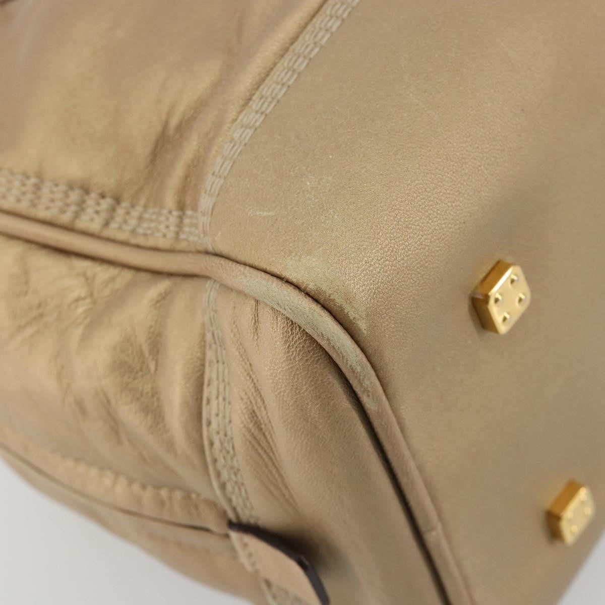 Loewe Amazona Leather Gold Leather Handbag (Pre-Owned)