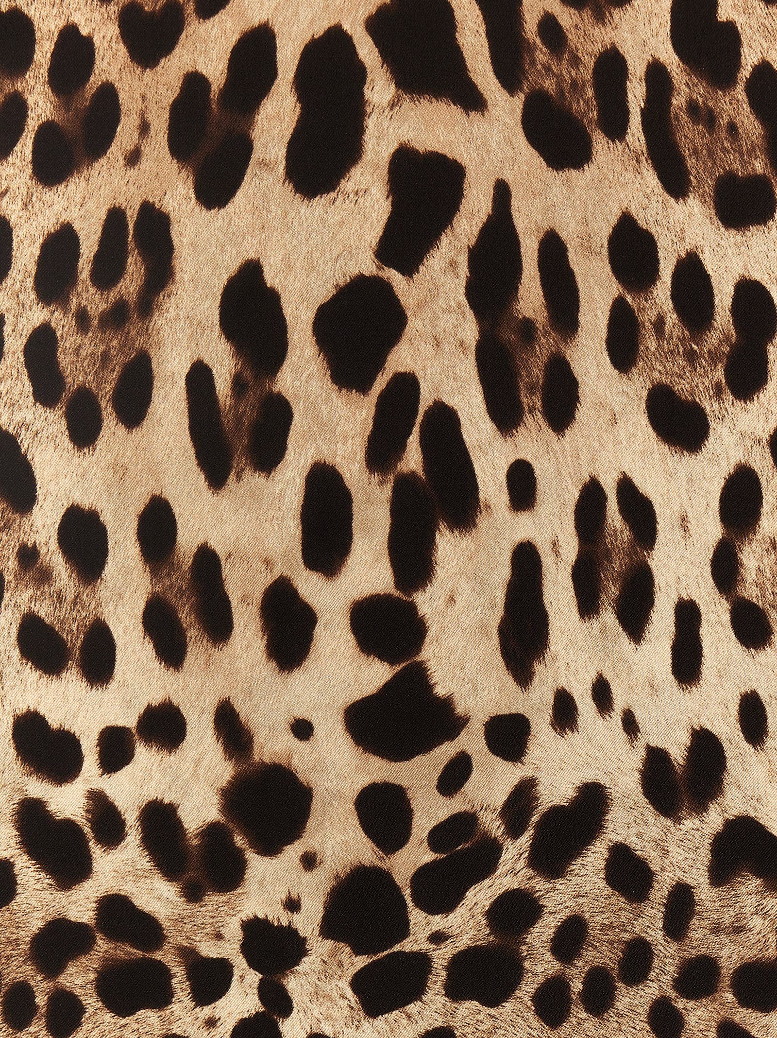 Dolce & Gabbana Women's Leopard Scarf
