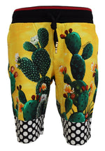 Dolce & Gabbana Multicolor Cactus Print Sweat Men's Shorts