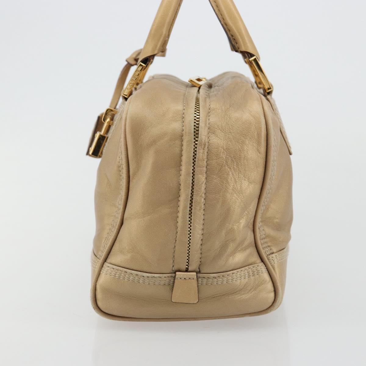 Loewe Amazona Leather Gold Leather Handbag (Pre-Owned)