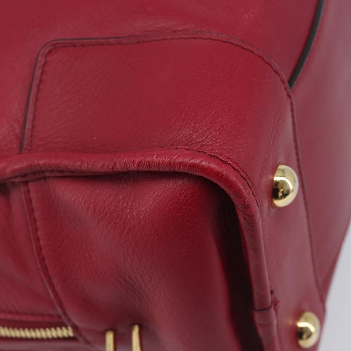 Loewe Amazona Leather Red Leather Handbag (Pre-Owned)
