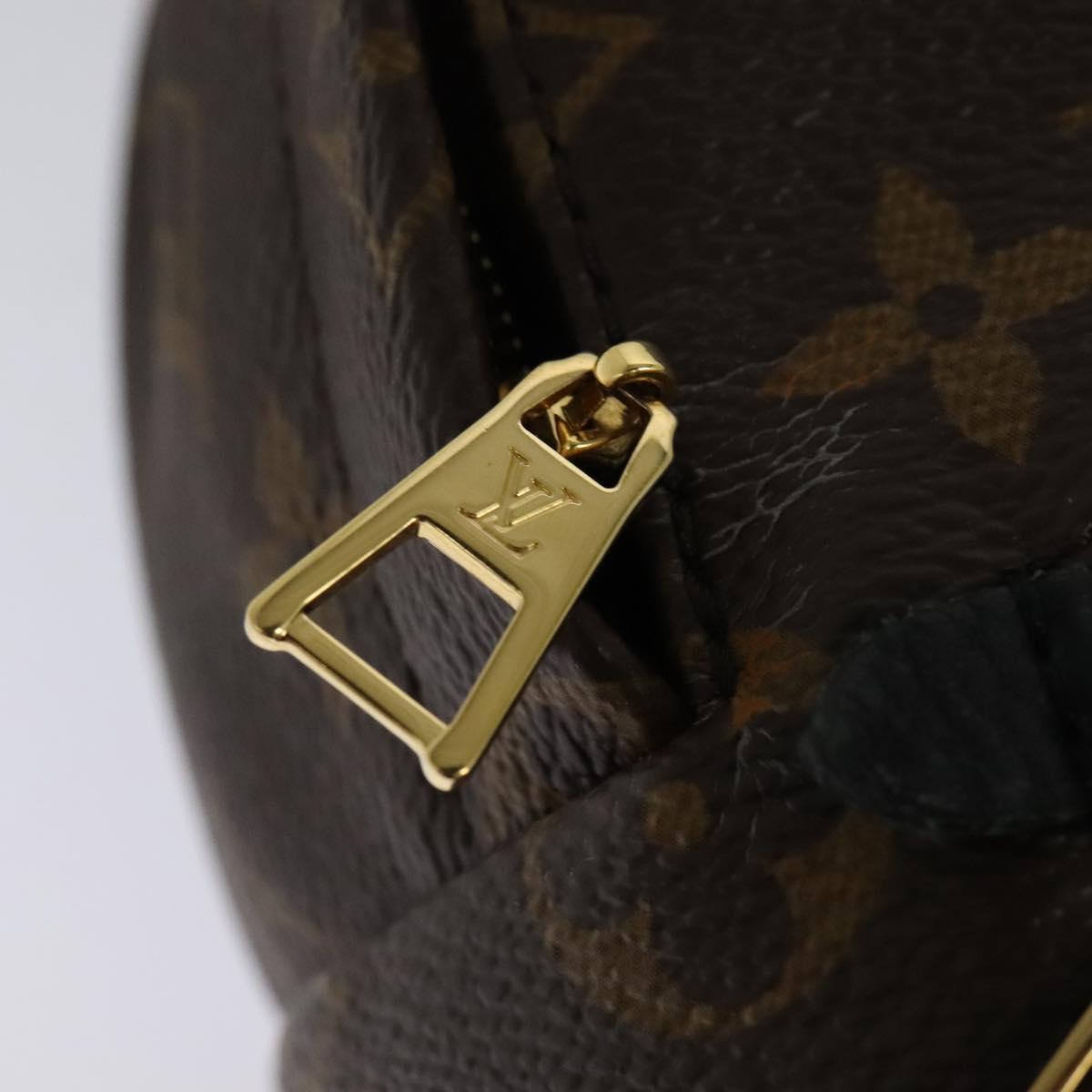 Louis Vuitton Palm Springs Monogram Canvas Brown Canvas Backpack Bag (Pre-Owned)