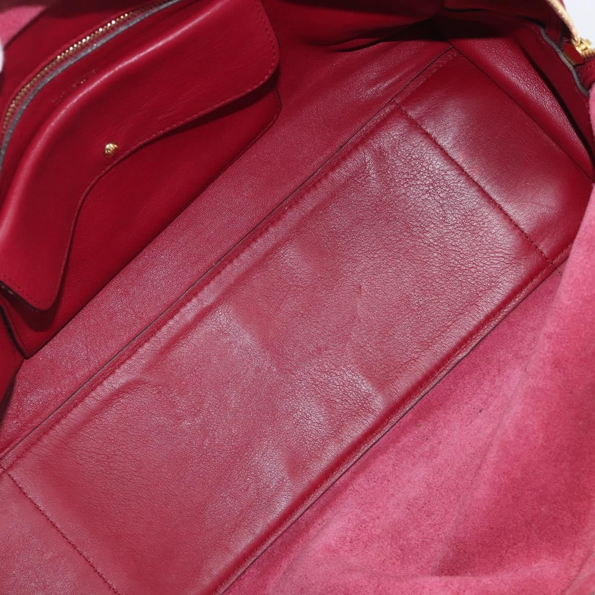 Loewe Amazona Leather Red Leather Handbag (Pre-Owned)