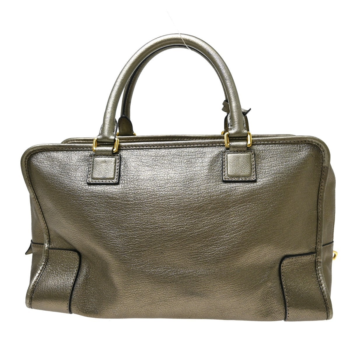Loewe Amazona Embossed Leather Gold Leather Handbag (Pre-Owned)