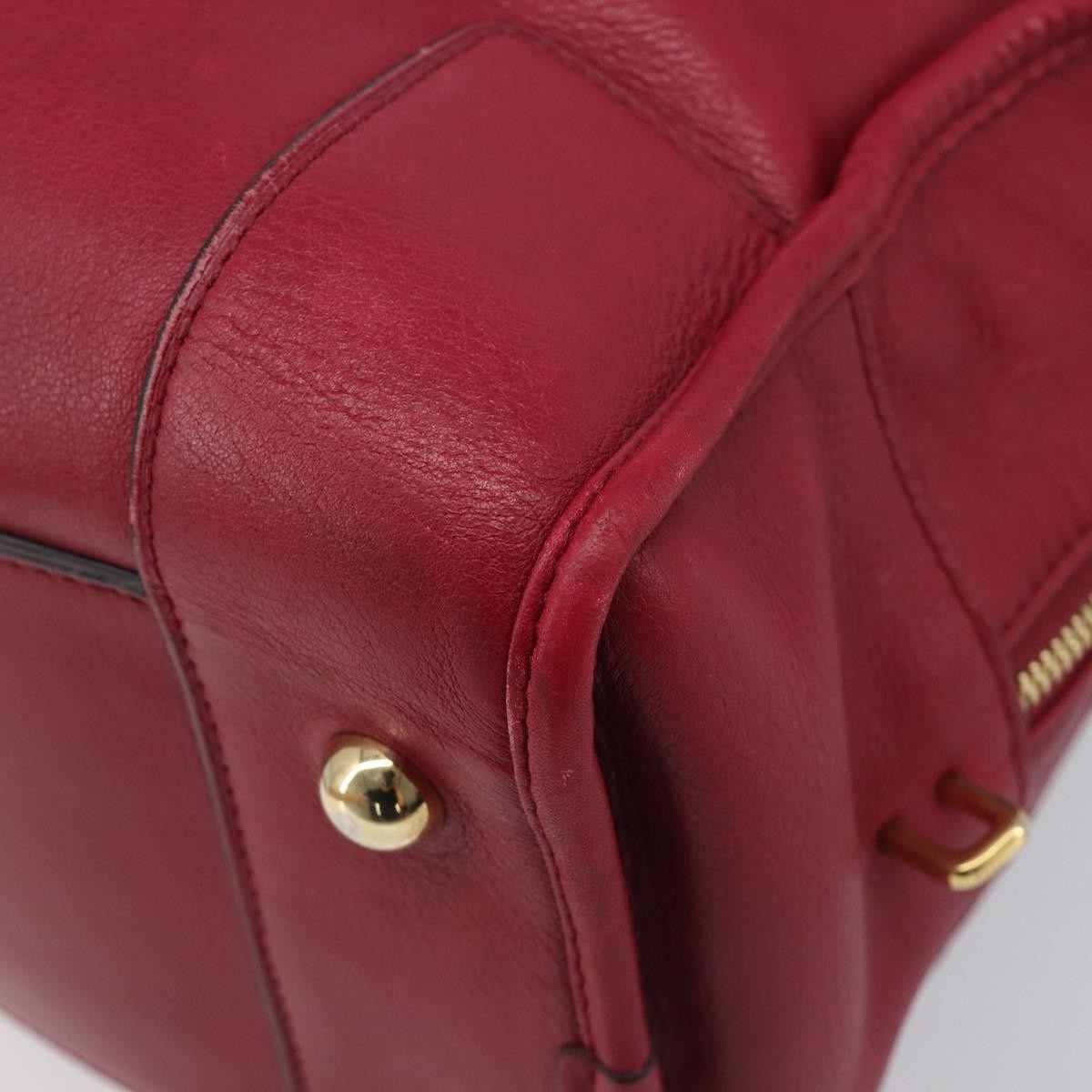 Loewe Amazona Leather Red Leather Handbag (Pre-Owned)