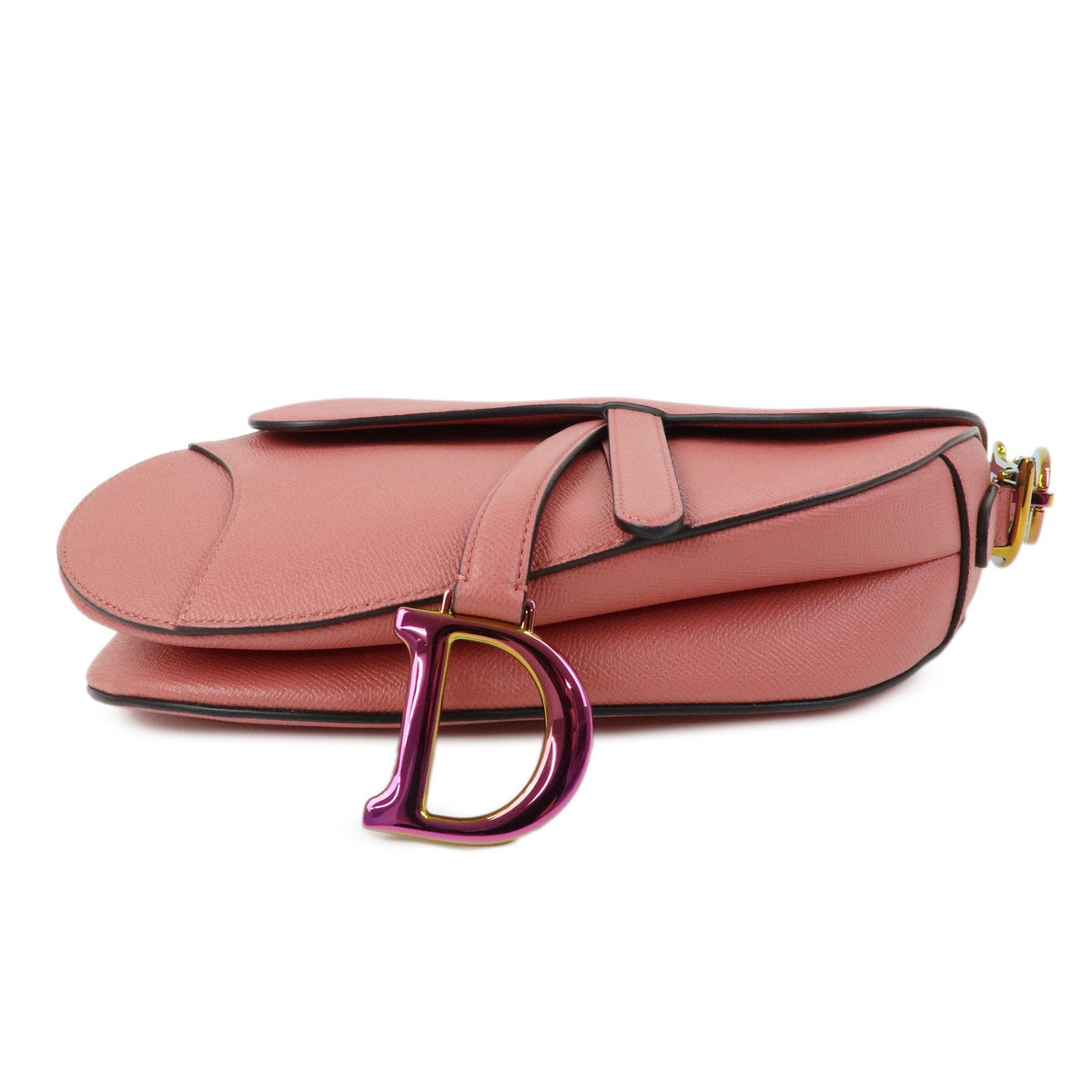 Christian Dior Saddle Embroidered Printed Leather Pink Leather Handbag (Pre-Owned)