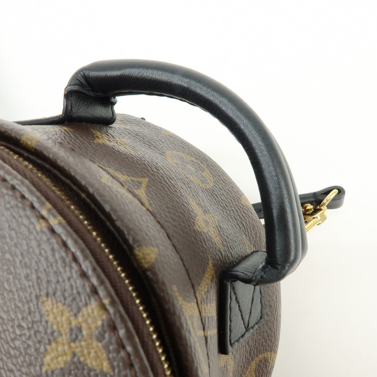 Louis Vuitton Palm Springs Monogram Canvas Brown Canvas Backpack Bag (Pre-Owned)