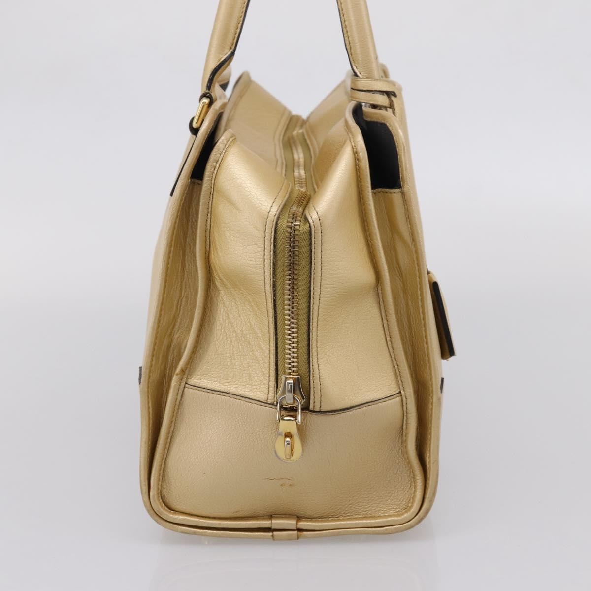 Loewe Amazona Leather Gold Leather Handbag (Pre-Owned)