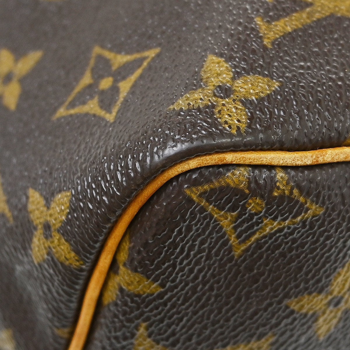 Louis Vuitton Speedy Monogram Canvas Brown Canvas Handbag (Pre-Owned)