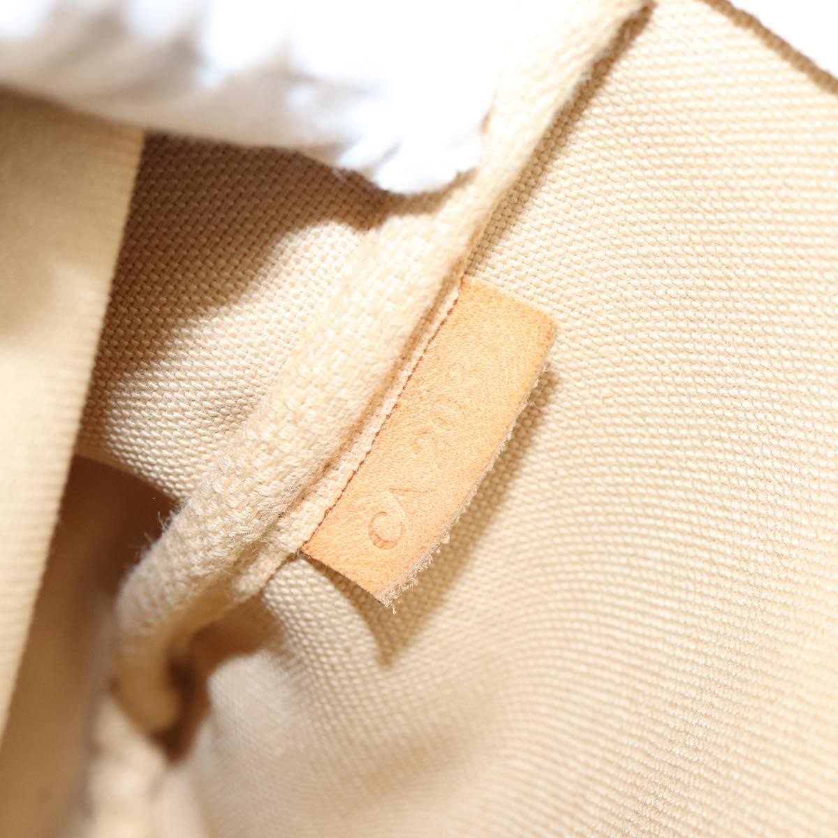 Louis Vuitton Pochette Accessoires Nm Damier White Canvas Clutche & Pouche Bag (Pre-Owned)