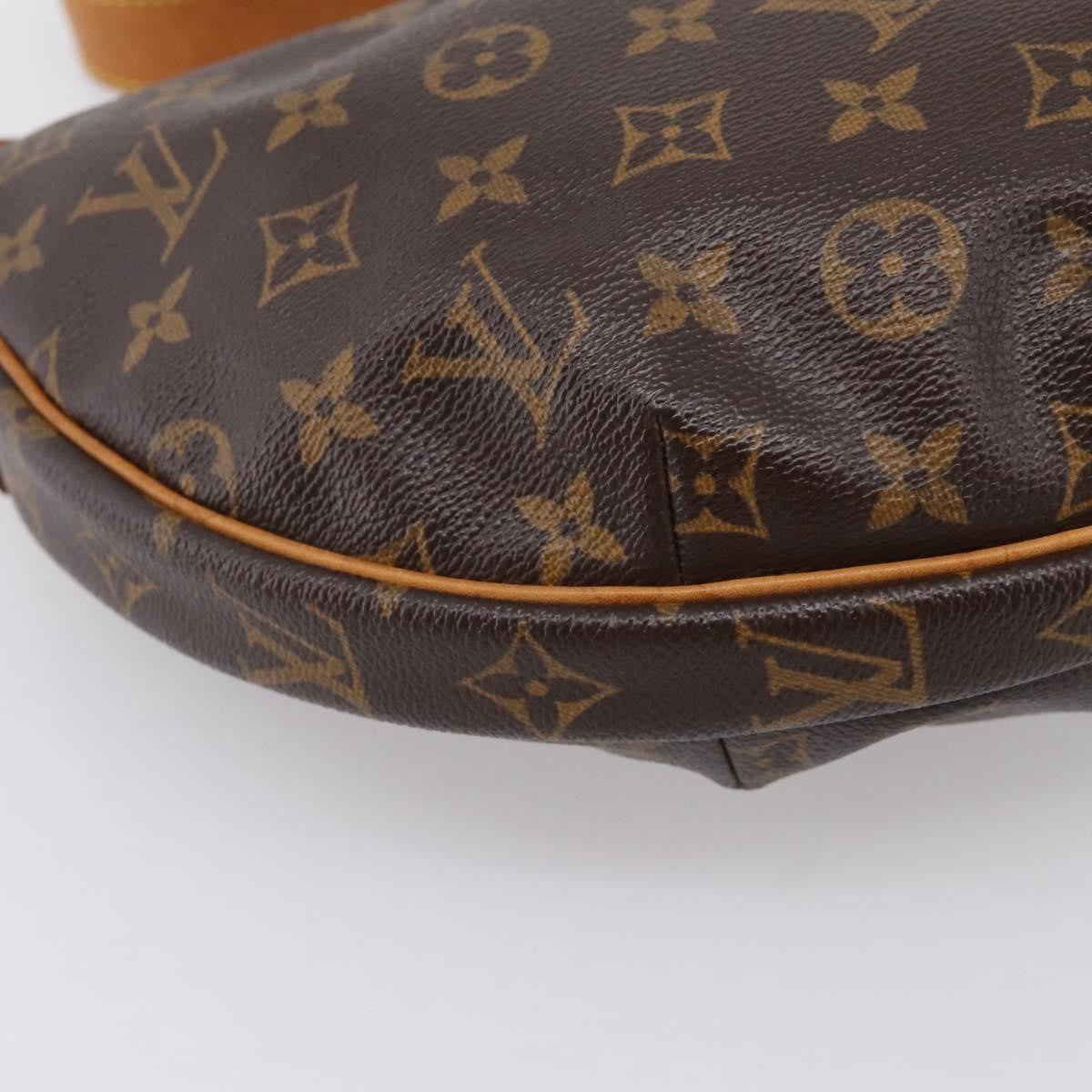 Louis Vuitton Croissant Monogram Canvas Brown Canvas Handbag (Pre-Owned)