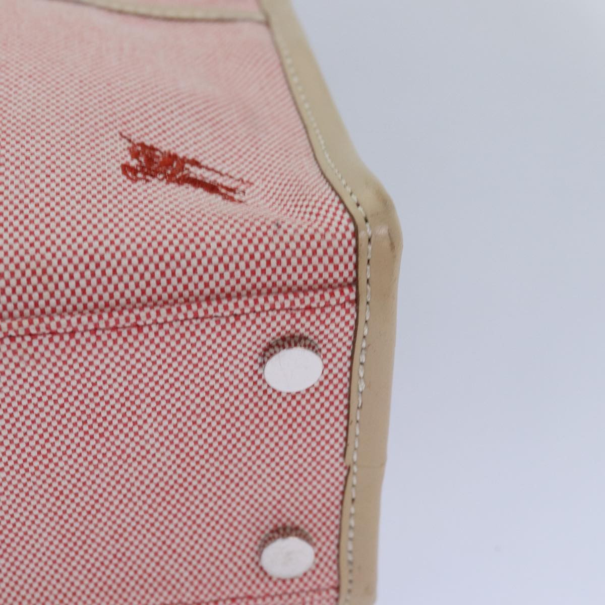Burberry Blue Label Canvas Pink Canvas Handbag (Pre-Owned)