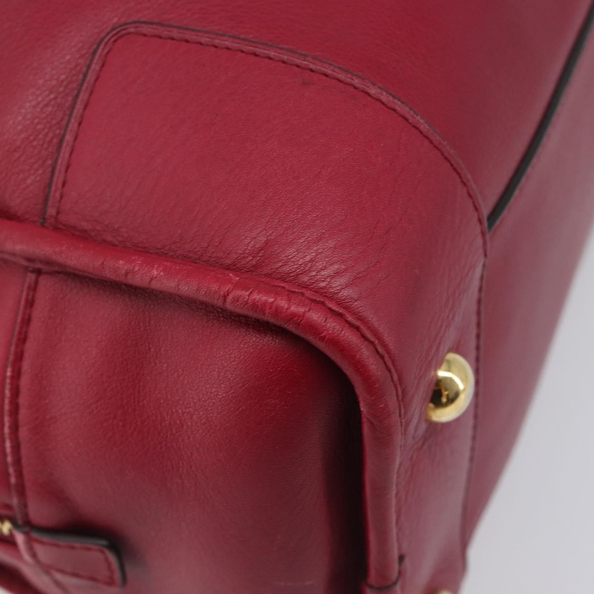 Loewe Amazona Leather Red Leather Handbag (Pre-Owned)