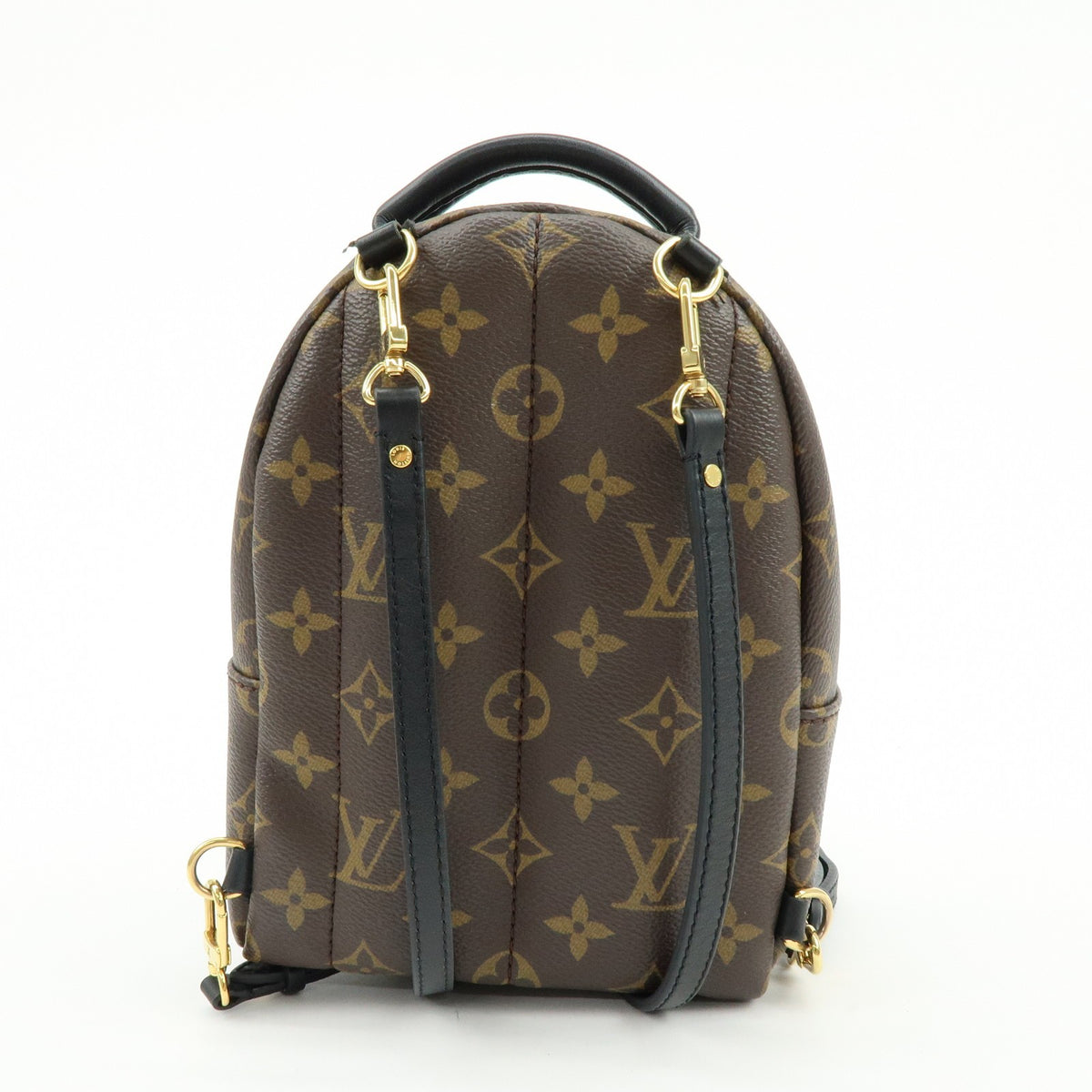 Louis Vuitton Palm Springs Monogram Canvas Brown Canvas Backpack Bag (Pre-Owned)