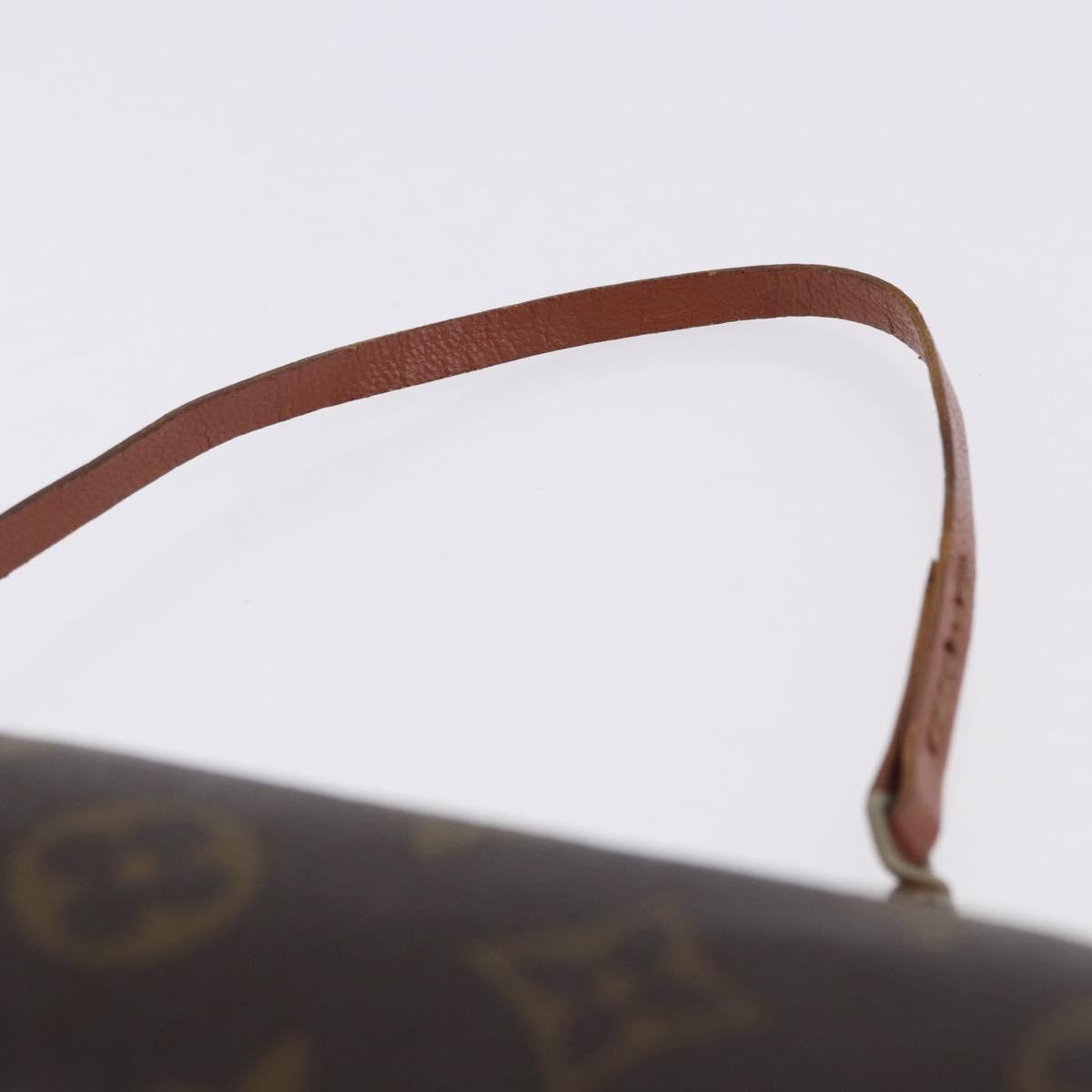 Louis Vuitton Papillon Pochette Monogram Canvas Brown Canvas Clutche & Pouche Bag (Pre-Owned)