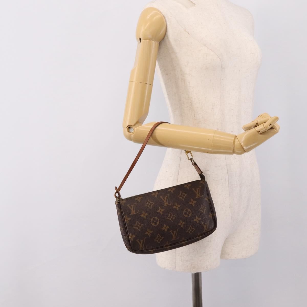 Louis Vuitton Pochette Accessoires Nm Monogram Canvas Brown Canvas Clutche & Pouche Bag (Pre-Owned)