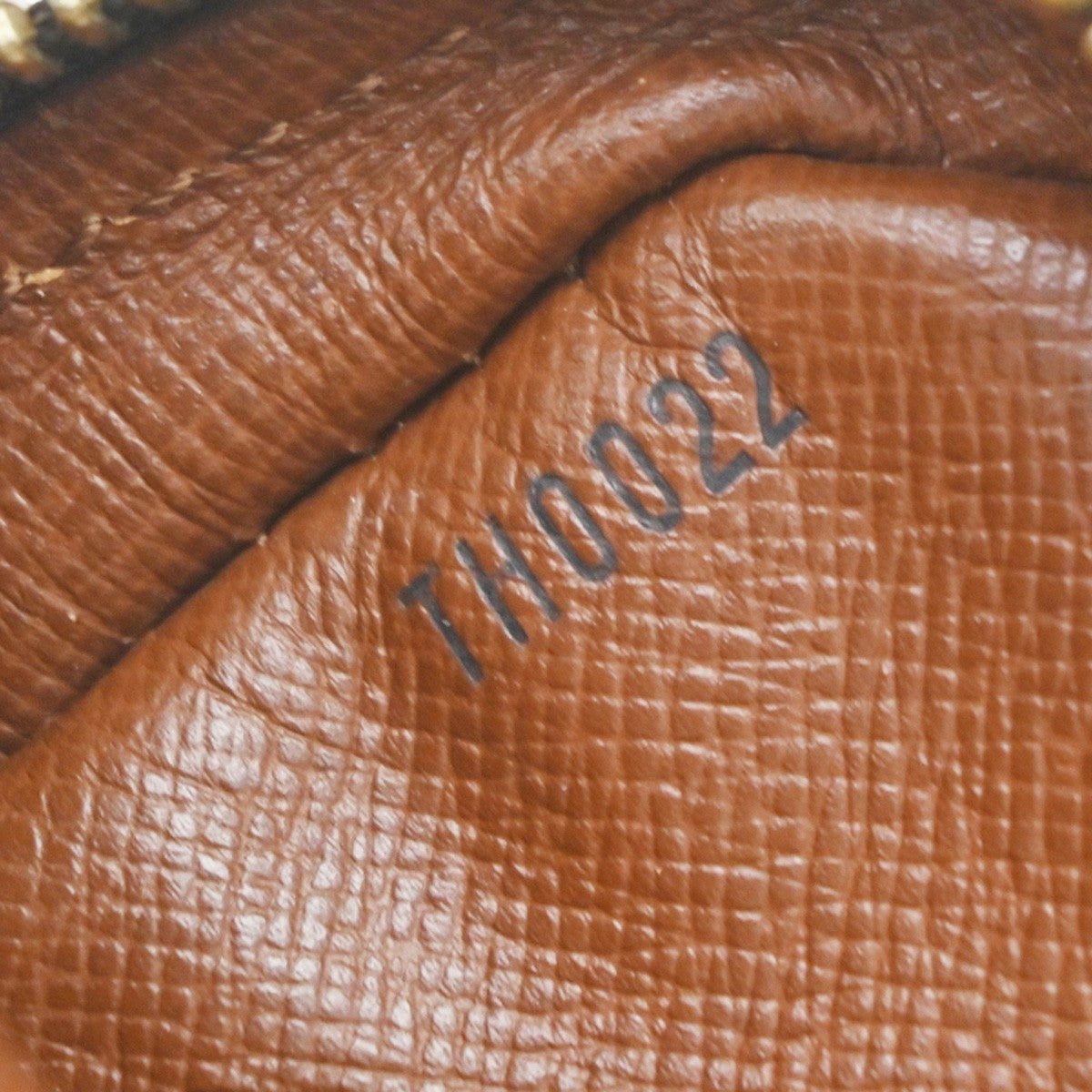 Louis Vuitton Amazone Monogram Canvas Brown Canvas Handbag (Pre-Owned)