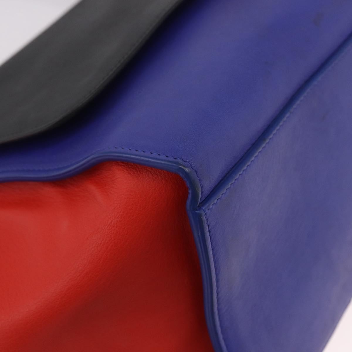 Celine Tricolor Trapeze Leather Multicolour Leather Handbag (Pre-Owned)