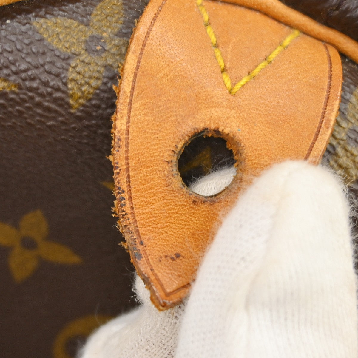 Louis Vuitton Speedy Monogram Canvas Brown Canvas Handbag (Pre-Owned)