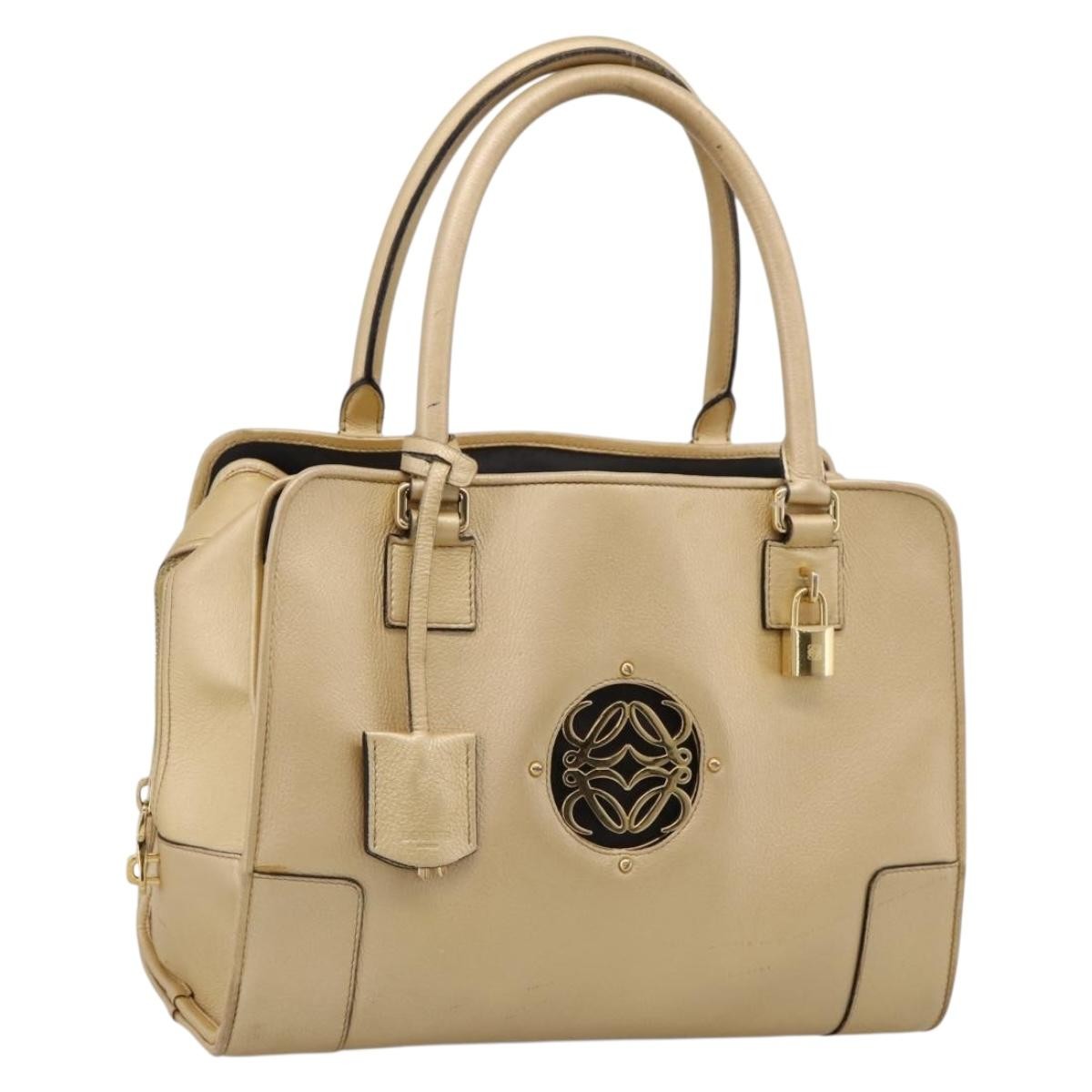 Loewe Amazona Leather Gold Leather Handbag (Pre-Owned)