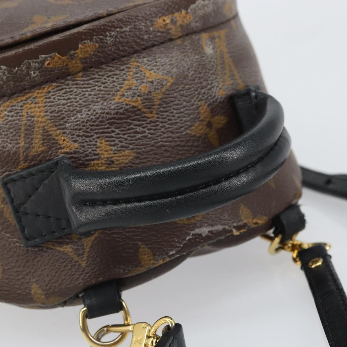 Louis Vuitton Palm Springs Monogram Canvas Brown Canvas Backpack Bag (Pre-Owned)