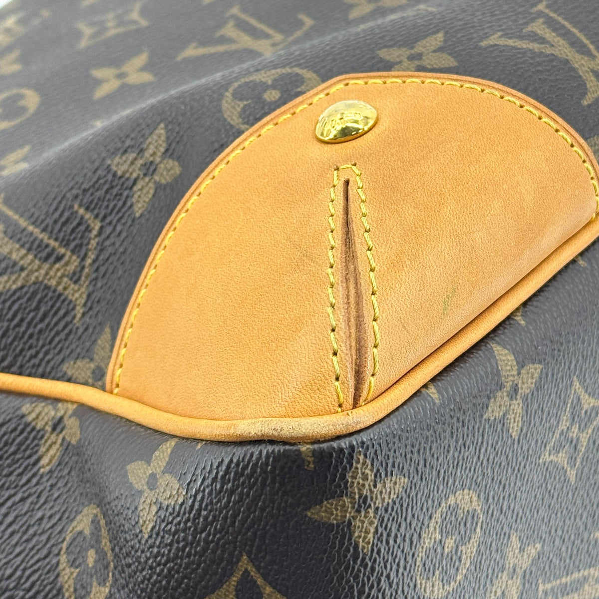 Louis Vuitton Estrela Monogram Canvas Brown Canvas Handbag (Pre-Owned)