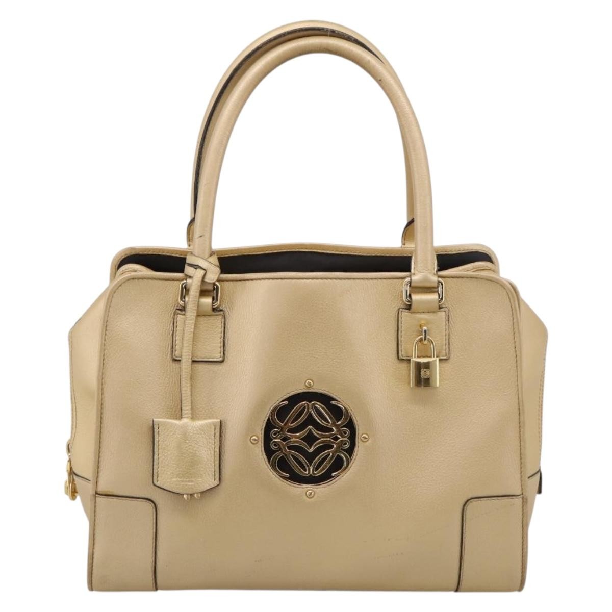 Loewe Amazona Leather Gold Leather Handbag (Pre-Owned)