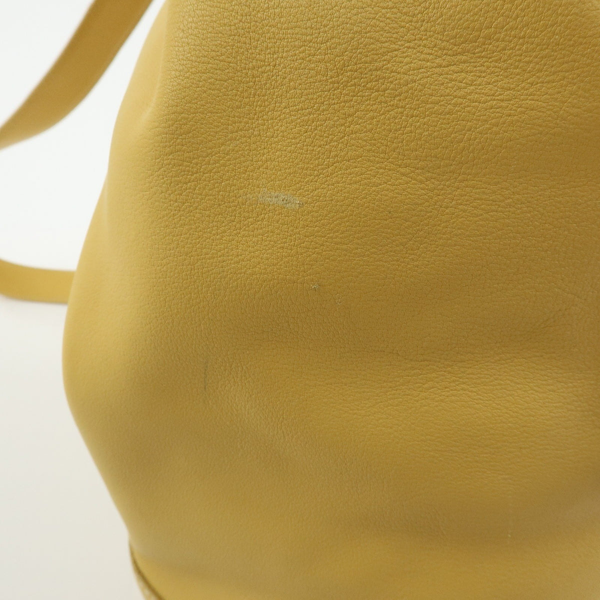 Loewe Anton Leather Yellow Leather Backpack Bag (Pre-Owned)