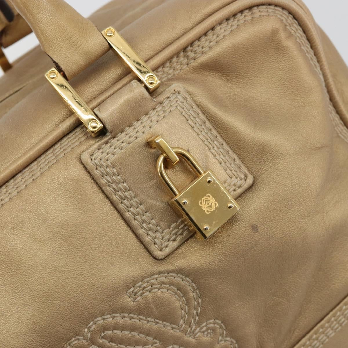 Loewe Amazona Leather Gold Leather Handbag (Pre-Owned)