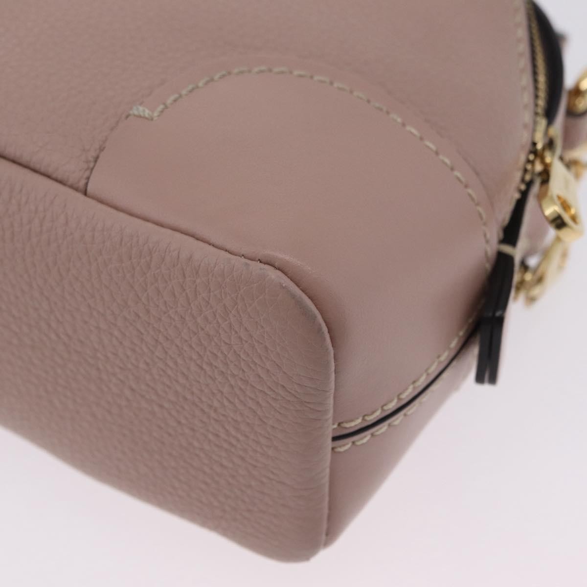 Chloe Daria Chain Leather Pink Leather Handbag (Pre-Owned)