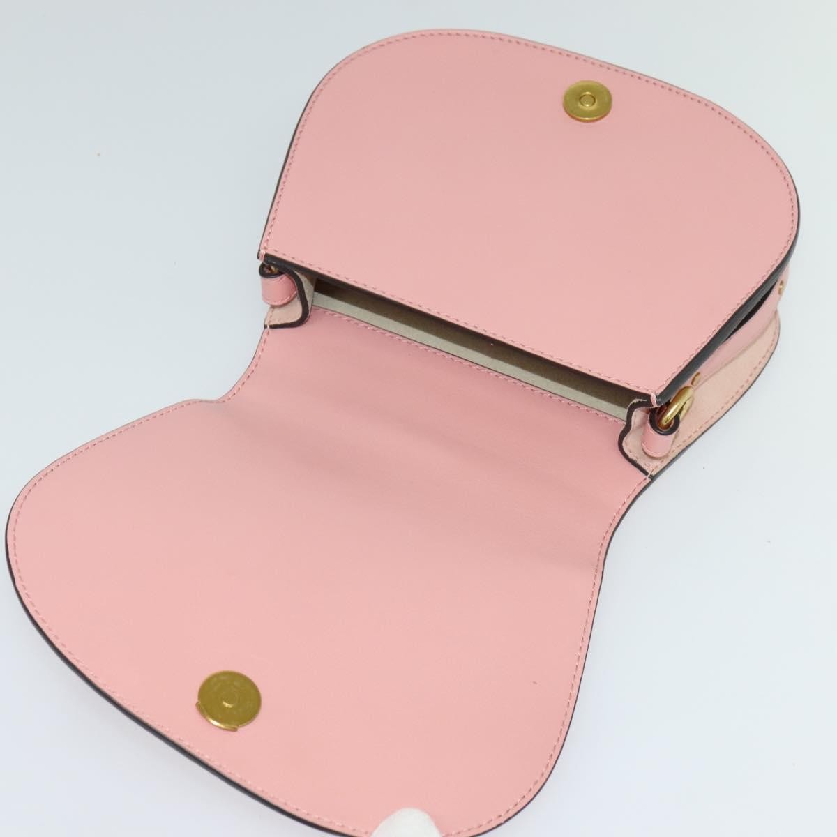 Chloe Nile Leather Pink Leather Handbag (Pre-Owned)