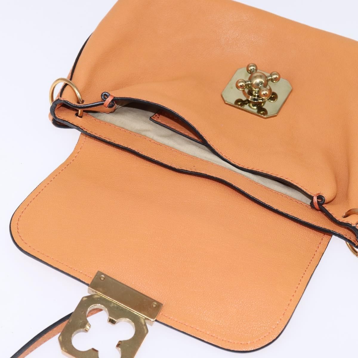 Chloe Elsie Leather Orange Leather Shoulder Bag Bag (Pre-Owned)